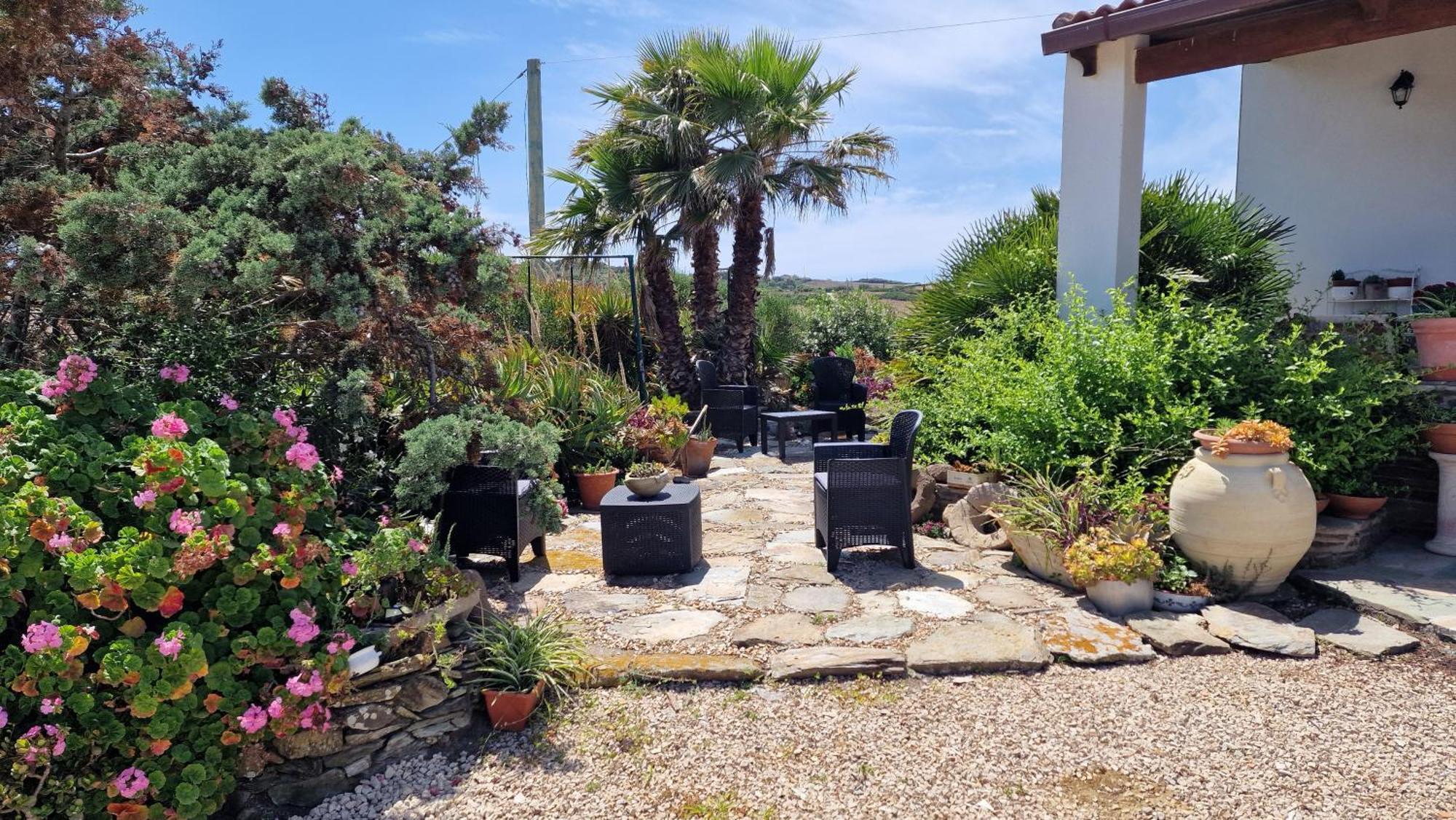 Biancareddu B&B Sa Corte מראה חיצוני תמונה